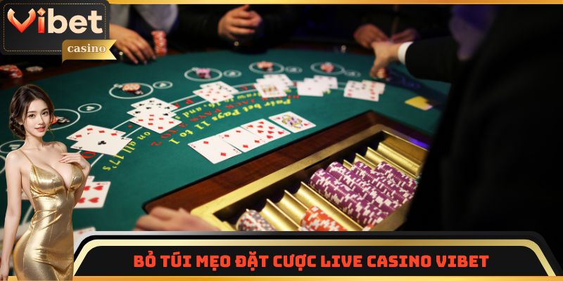 Bỏ túi mẹo đặt cược Live Casino Vibet