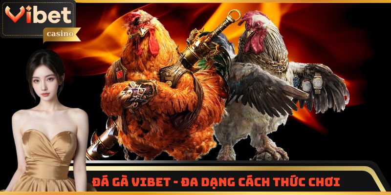 Đá gà Vibet - Đa dạng cách thức chơi