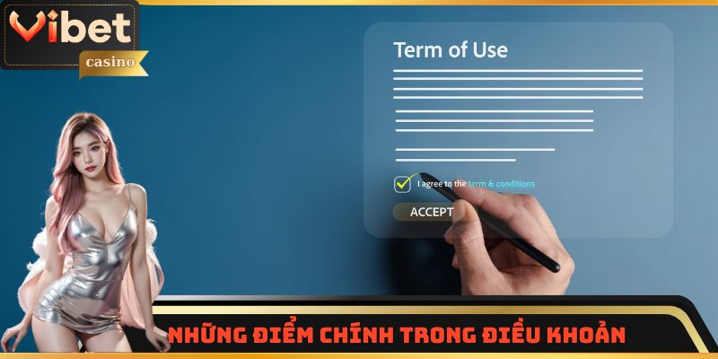 Điểm chính trong điều khoản điều kiện Vibet