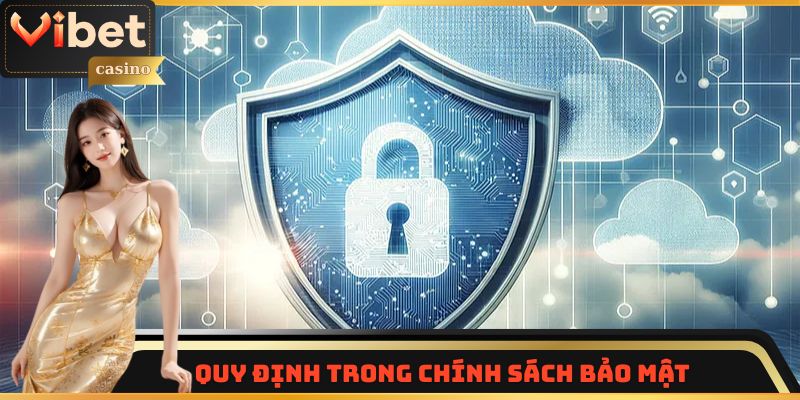 Những quy định trong chính sách bảo mật Vibet